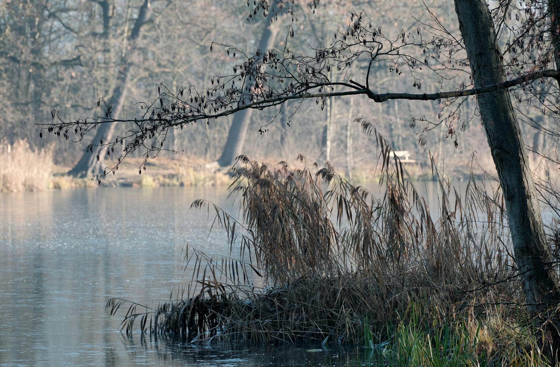 Uśmiechnięci ludzie cieszący się majówką w parku miejskim w Mińsku Mazowieckim, z zieloną trawą i drzewami w tle.